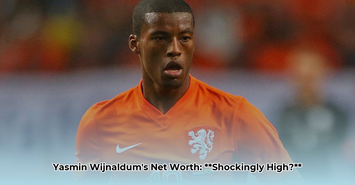 yasmin wijnaldum net worth